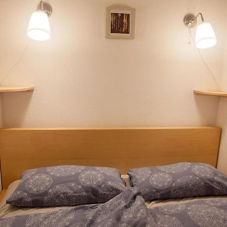 Gemuetliches 2P-Apartment In Ruhiger Lage 드레스덴 외부 사진