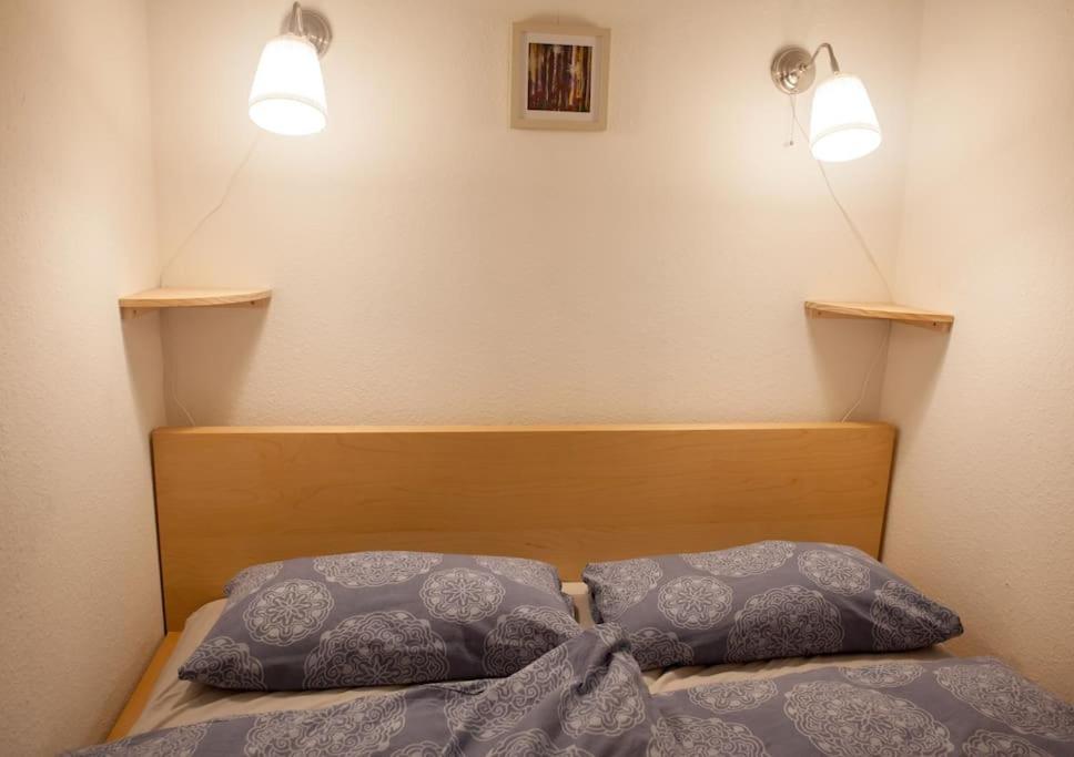 Gemuetliches 2P-Apartment In Ruhiger Lage 드레스덴 외부 사진